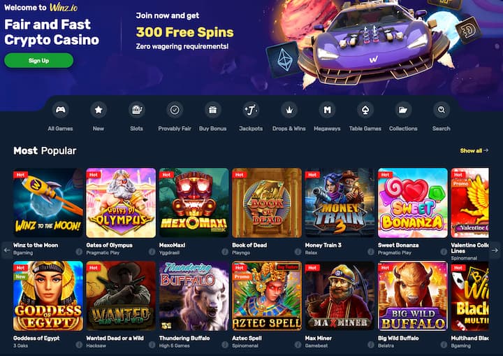 Slot lobby screenshot of Winz Casino