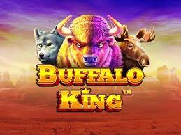 Buffalo king Slot thumbnail by Pragmatic Play
